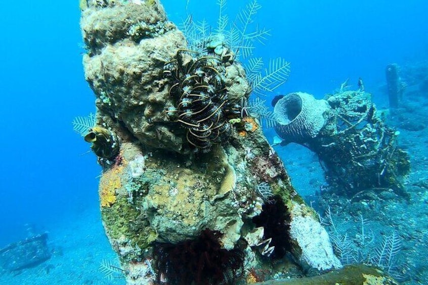 Diving in Tulamben