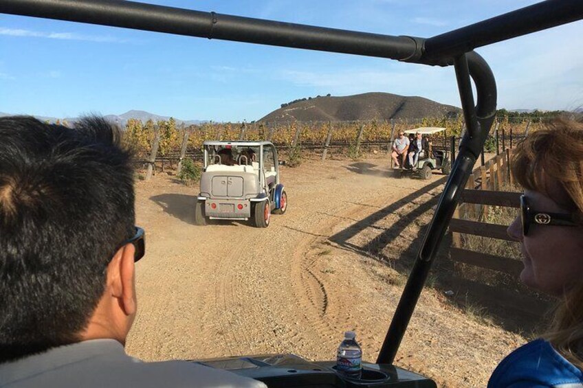 **PRIVATE ONLY** Off-road tour of the vineyards with the owner on his private estate. 