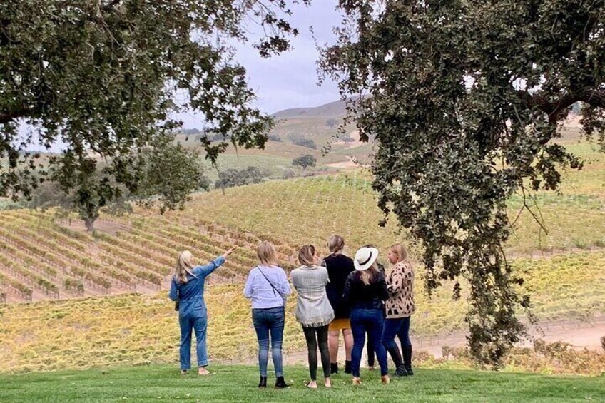 Private Santa Barbara Small-Production Wine Tour