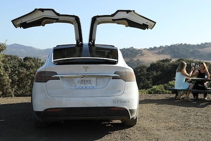 Private Santa Barbara Winery and Estate Tour in Tesla SUV