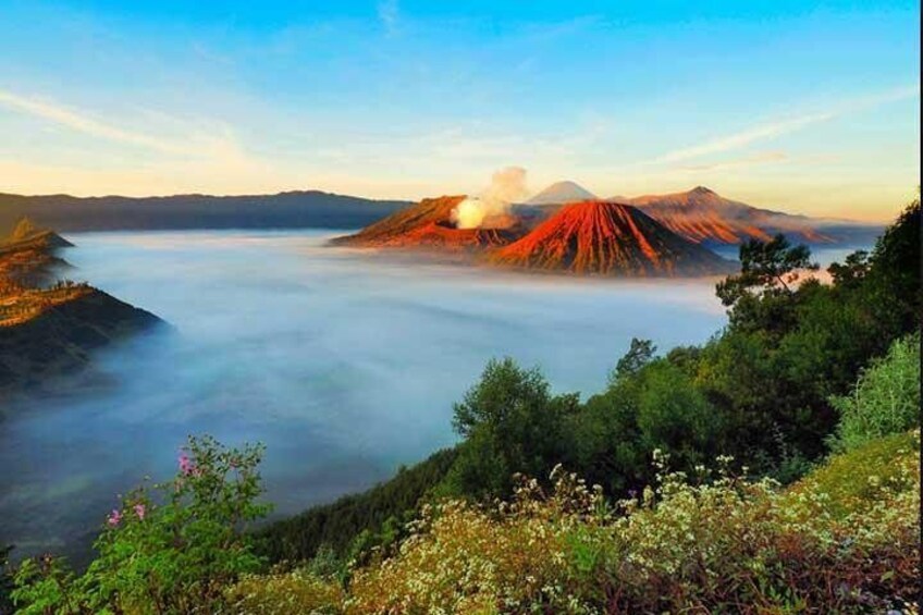 Bromo sunrise