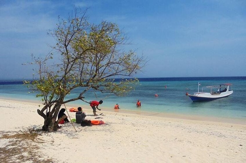 East Java Exotic Day Tour: Menjangan & Tabuhan Island Open Trip from Banyuwangi