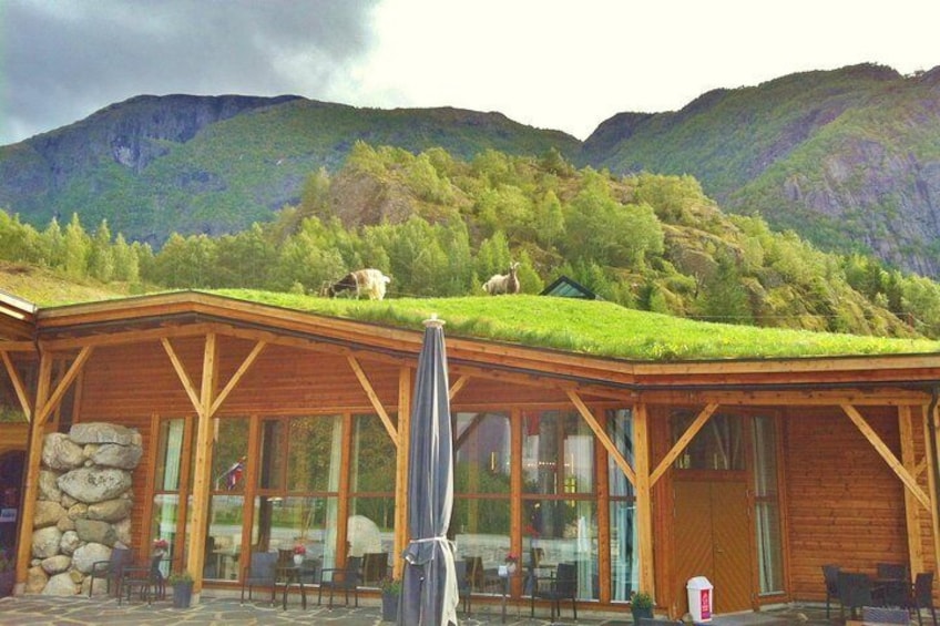 Hardangerhallen restaurant