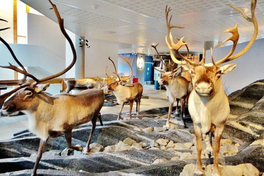 Norwegian Nature Center