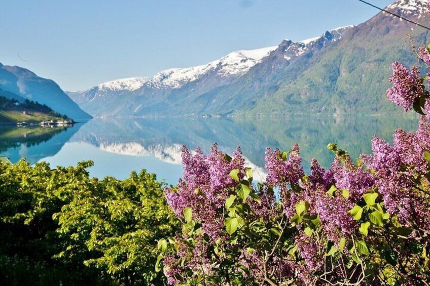 Hardangerfjord