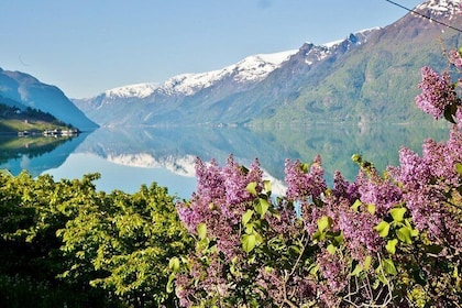 AMAZING HARDANGER FJORD: Private guided round trip from Bergen, 10 hours