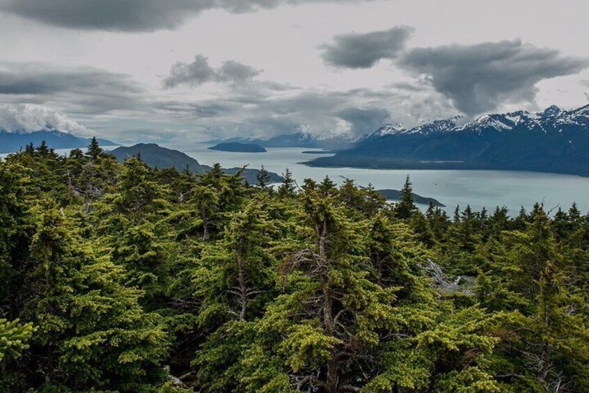 Full-Day Mount Riley Hike from Haines