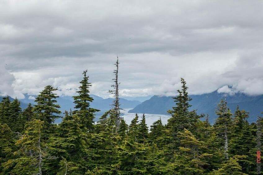 View from the top of Mt, Riley