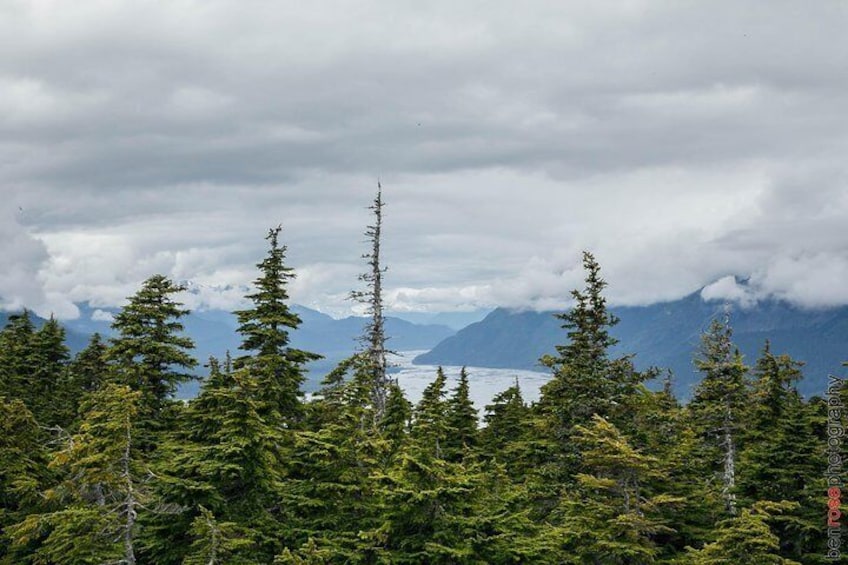 View from the top of Mt, Riley