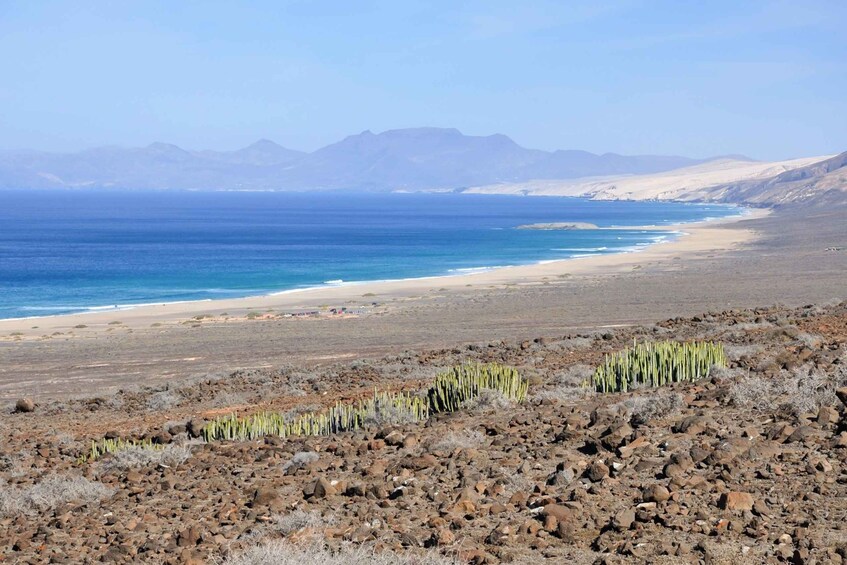 Picture 4 for Activity Fuerteventura: Off-Road Safari Tour