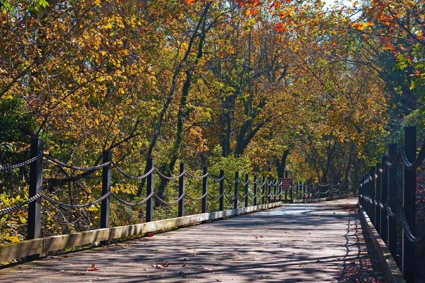 Picture 2 for Activity Virginia Capital Trail: Nature/History tour via bike w/ wine