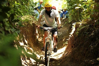 Lombok Cycling through Coffee, Cacao and Mangosteen Plantation