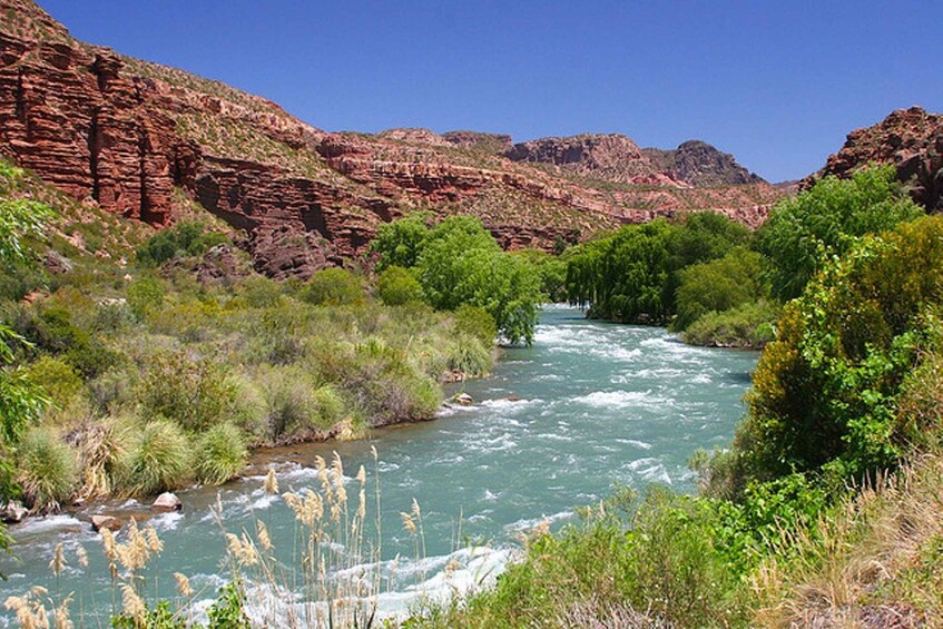 From Mendoza: San Rafael Sightseeing and Atuel Canyon Tour