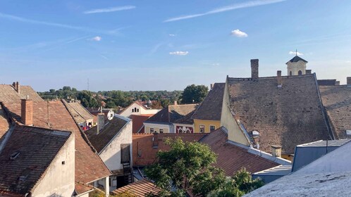 Szentendre: Arts and Cafés Tour (Half-Day Private Tour)