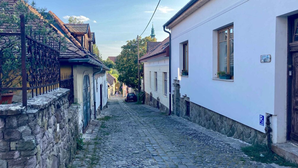 Picture 1 for Activity Szentendre: Arts and Cafés Tour (Half-Day Private Tour)