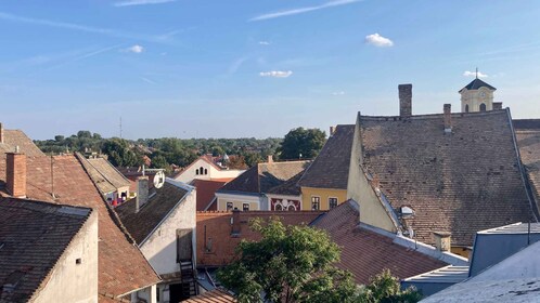 Szentendre: Tour de artes y cafés (Tour privado de medio día)