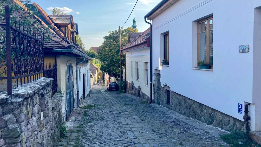 Picture 1 for Activity Szentendre: Arts and Cafés Tour (Half-Day Private Tour)