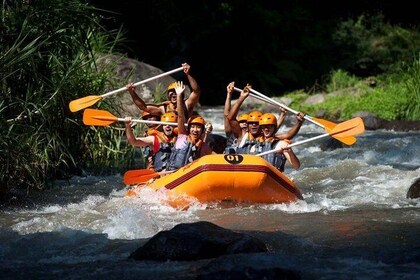 Bali Rafting, Ubud, and Jimbaran Day Tour