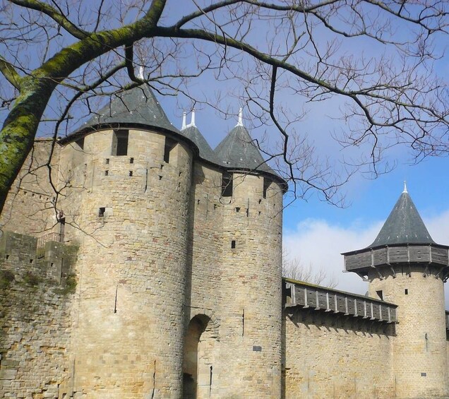 Carcassonne: Fortress Walking Tour