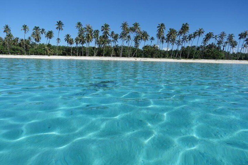 Moorea Private Boat Tour