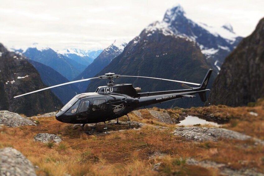 Milford and Fiordland Highlights Tour by Helicopter from Queenstown
