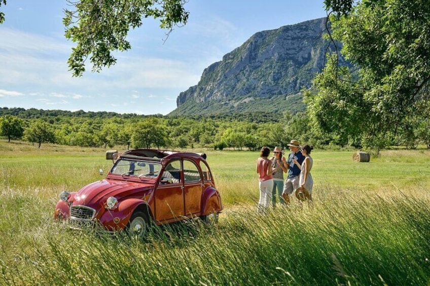 Private vintage car half-day wine tour in 2CV