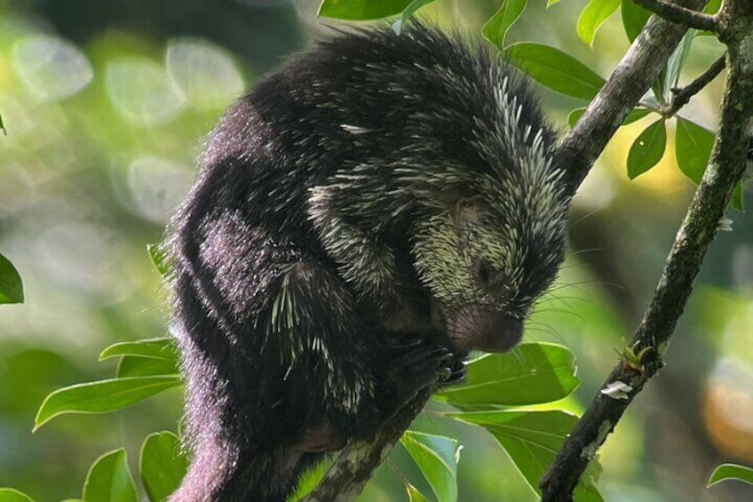 Explore and Learn the Cloud Forest in Monteverde