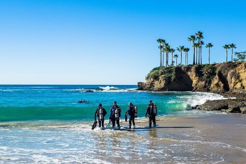 4 Hour Diving Course in Tayrona Park