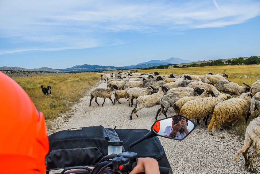 Picture 2 for Activity From Split: Full-Day Horse Riding & Quad Biking with Lunch