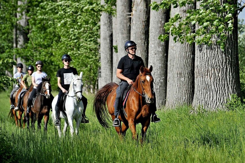 Picture 5 for Activity From Split: Full-Day Horse Riding & Quad Biking with Lunch