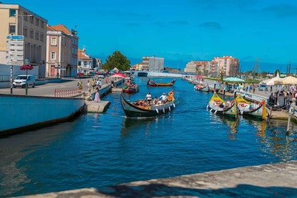 Aveiro Private Tour with cruise