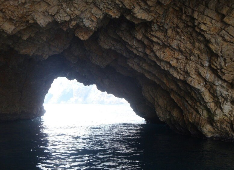 Picture 4 for Activity From Roses: Sailing Catamaran Cruise to Medes Islands