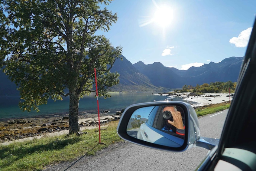 Picture 6 for Activity Tromsø: Fjord Sightseeing in a Tesla X Luxury Electric Car