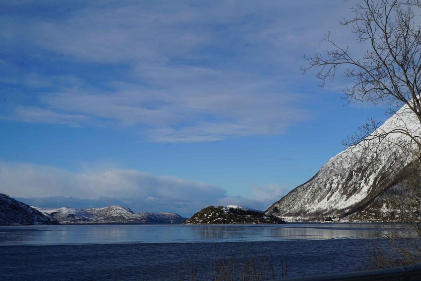 Picture 3 for Activity Tromsø: Fjord Sightseeing in a Tesla X Luxury Electric Car