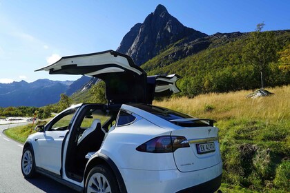 Tromsø: Fjord bekijken in een Tesla X luxe elektrische auto