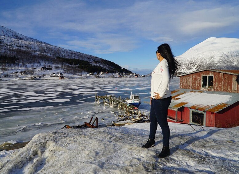 Picture 8 for Activity Tromsø: Fjord Sightseeing in a Tesla X Luxury Electric Car