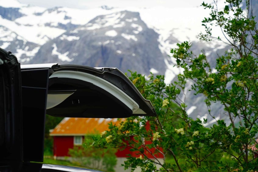 Picture 7 for Activity Tromsø: Fjord Sightseeing in a Tesla X Luxury Electric Car