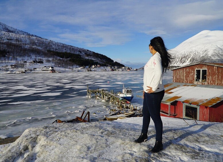 Picture 8 for Activity Tromsø: Fjord Sightseeing in a Tesla X Luxury Electric Car