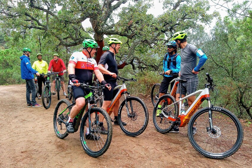 Picture 4 for Activity Marbella: E-Mountain Bike Explorer Tour