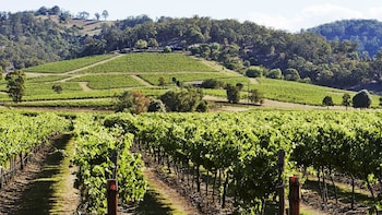 Hunter Valley Wine Tour with Australian Walkabout Wildlife Park Tickets