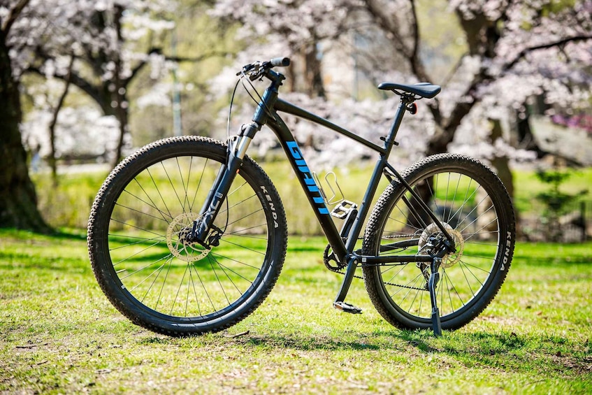 NYC: Central Park Bike Rental