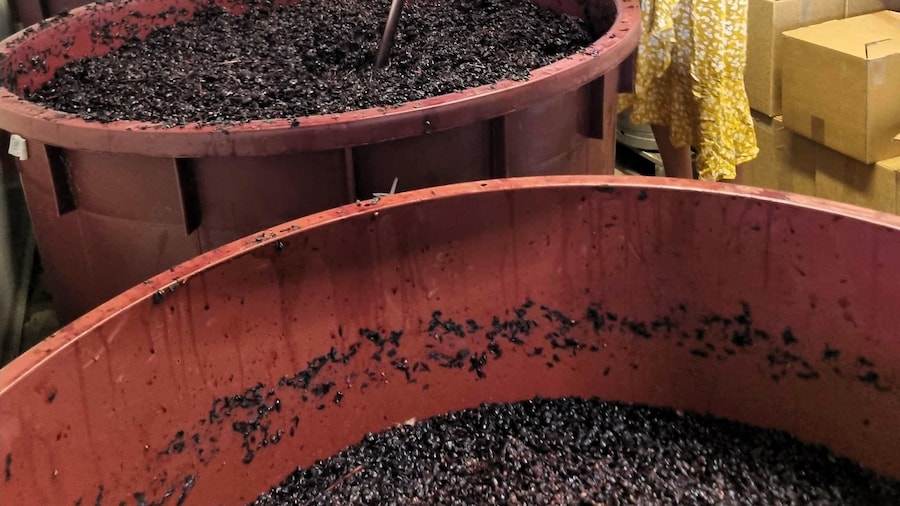Hunter Valley Wine, Gin, Cheese & Chocolate Tour inc Lunch