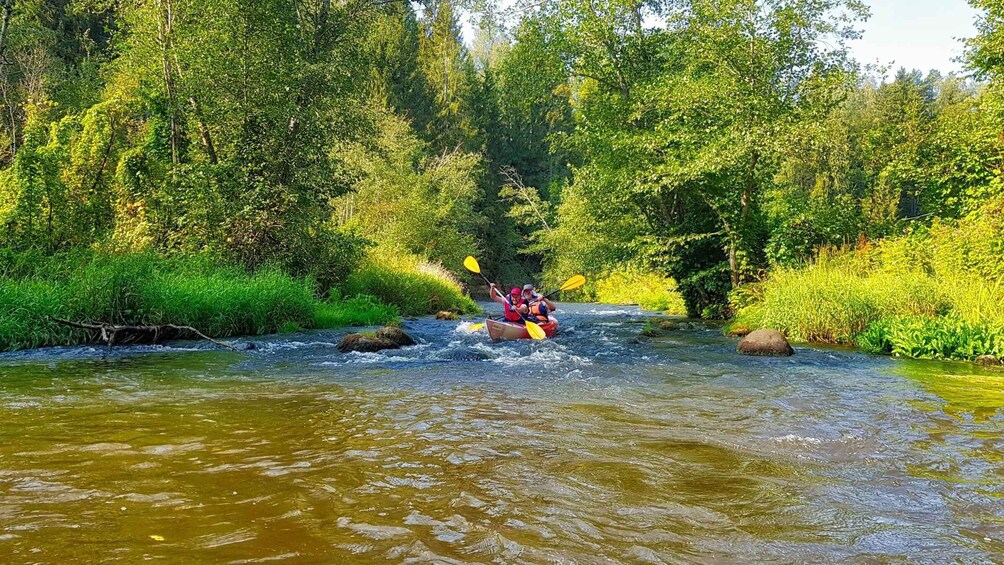 Picture 14 for Activity From Riga: Full-Day Scenic Gauja River Valley Kayaking Trip