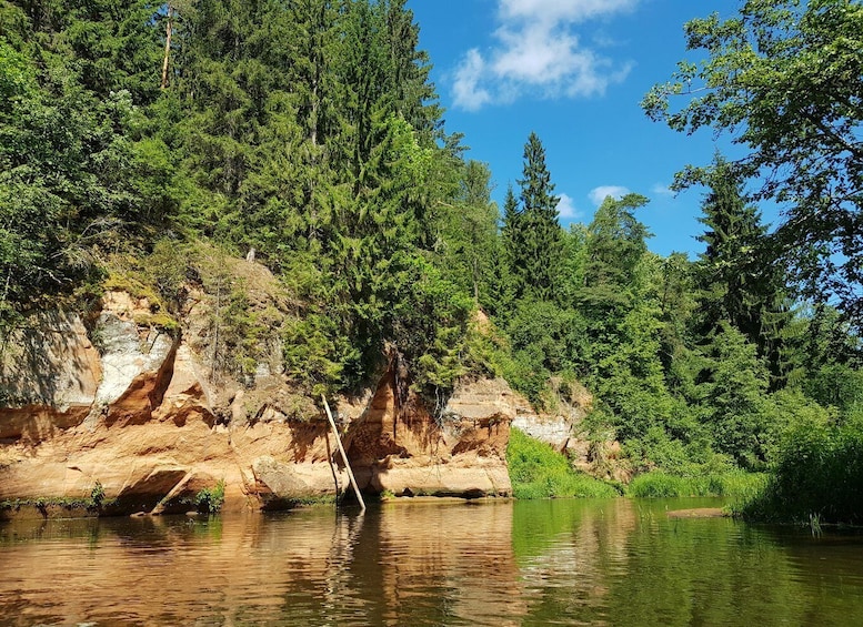 Picture 8 for Activity From Riga: Full-Day Scenic Gauja River Valley Kayaking Trip