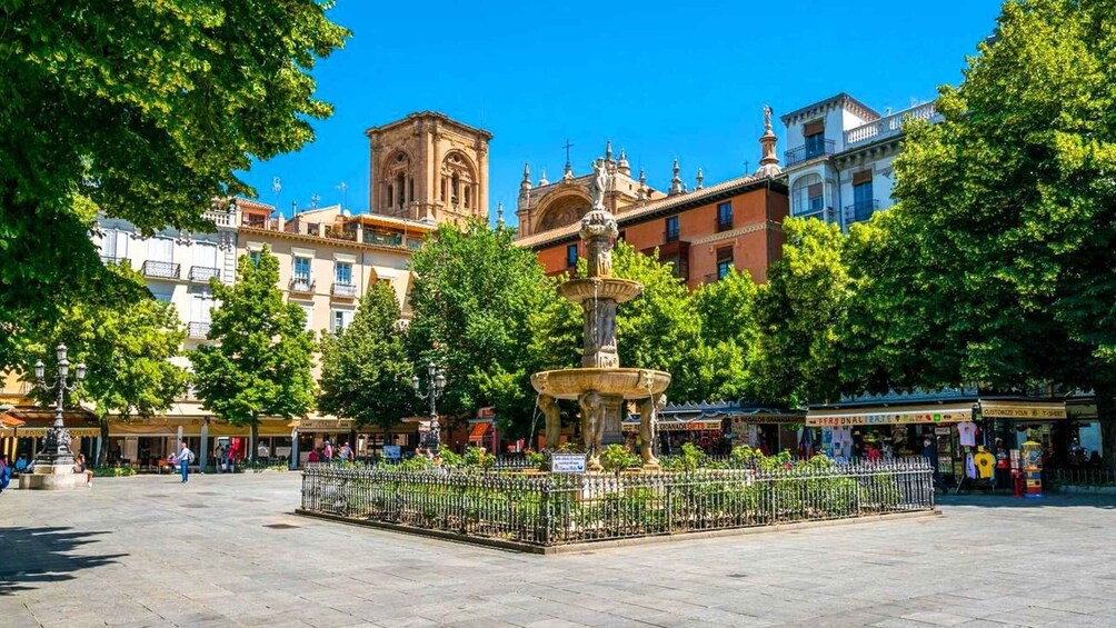 Picture 5 for Activity Granada: Private tour of the city center and Cathedral