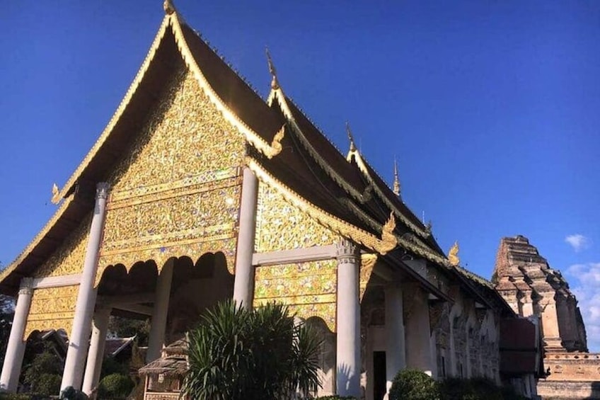 Half day Chiang Mai Temples (Join in)