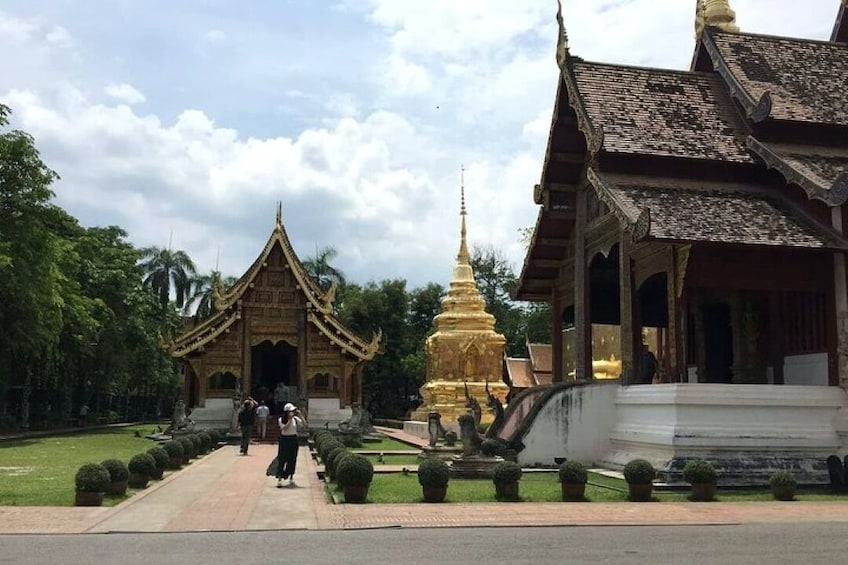 Half day Chiang Mai Temples (Join in)