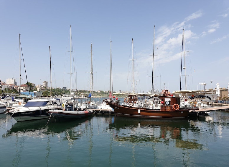 Picture 4 for Activity From Bucharest: 2-Day Danube Delta Wonders Small Group Tour