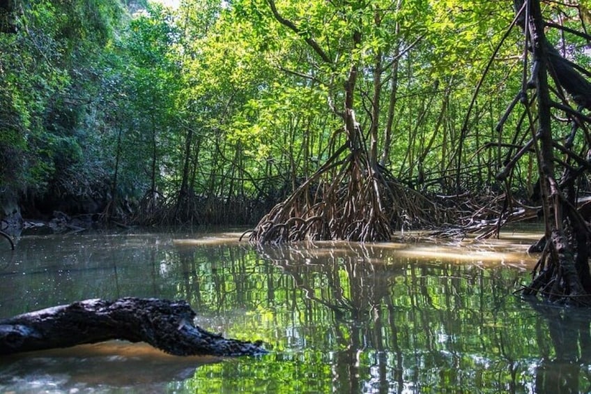 Full day Phang Nga and Canoe and Koh Khai by Speed Boat