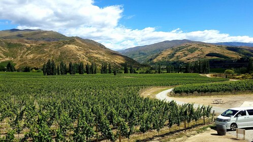 Boutique-Weintour in Central Otago mit Sommelier-Guide